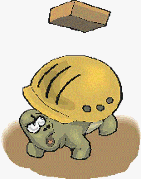 Turtle with "hard hat" shell